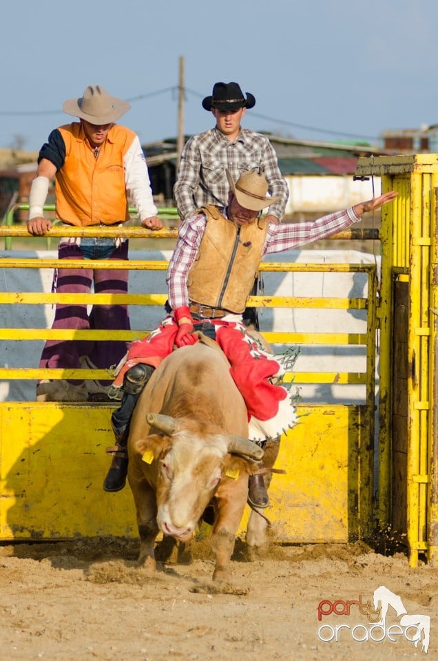 Campionat European de Rodeo, Băile Felix