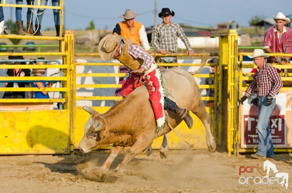 Campionat European de Rodeo, Băile Felix