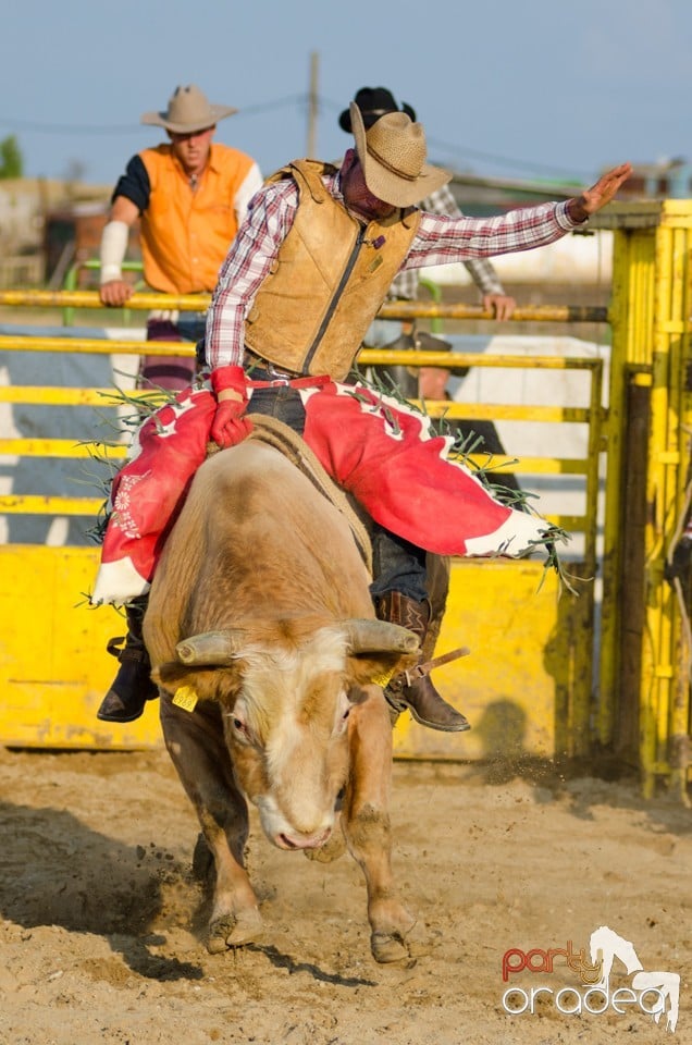 Campionat European de Rodeo, Băile Felix