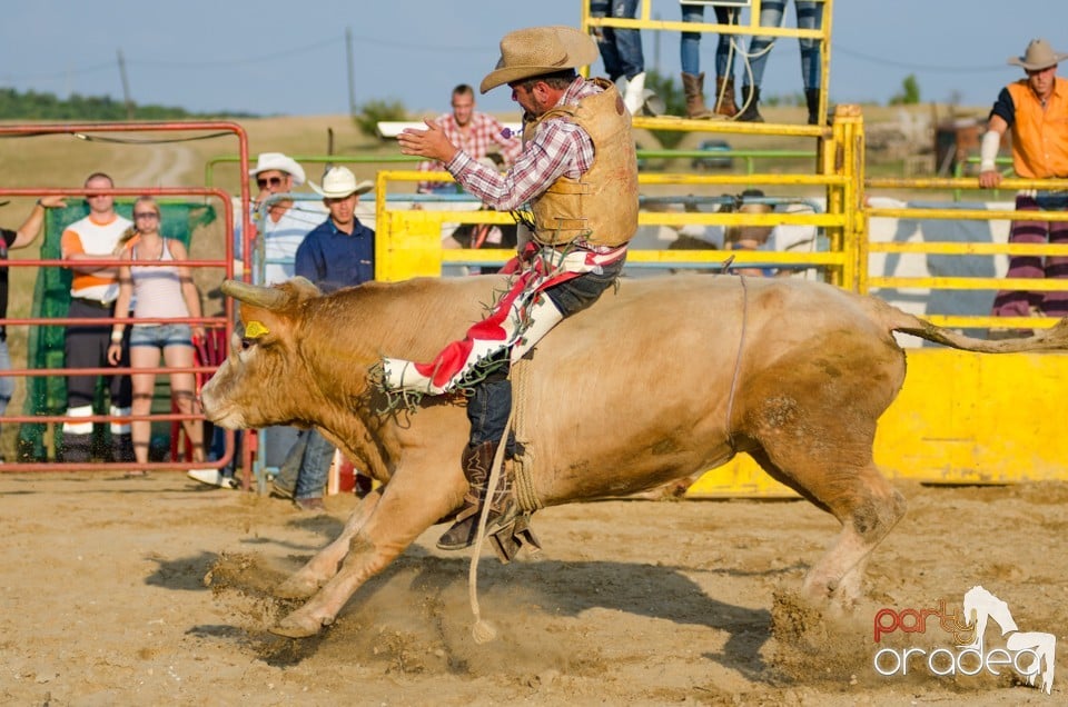 Campionat European de Rodeo, Băile Felix