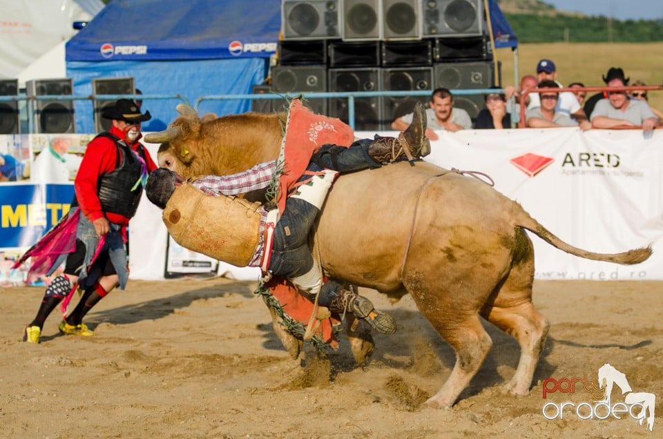 Campionat European de Rodeo, Băile Felix