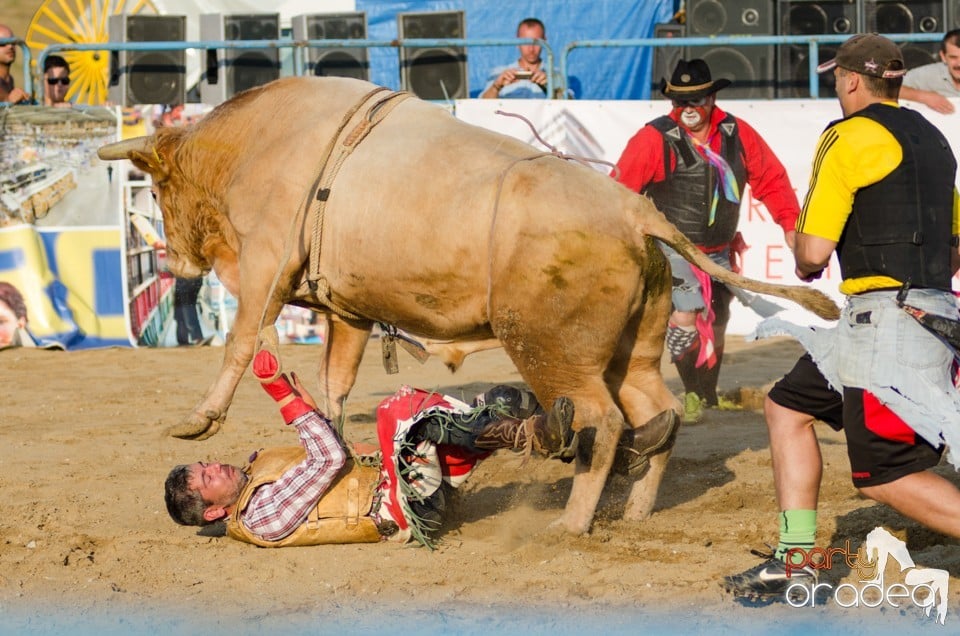 Campionat European de Rodeo, Băile Felix