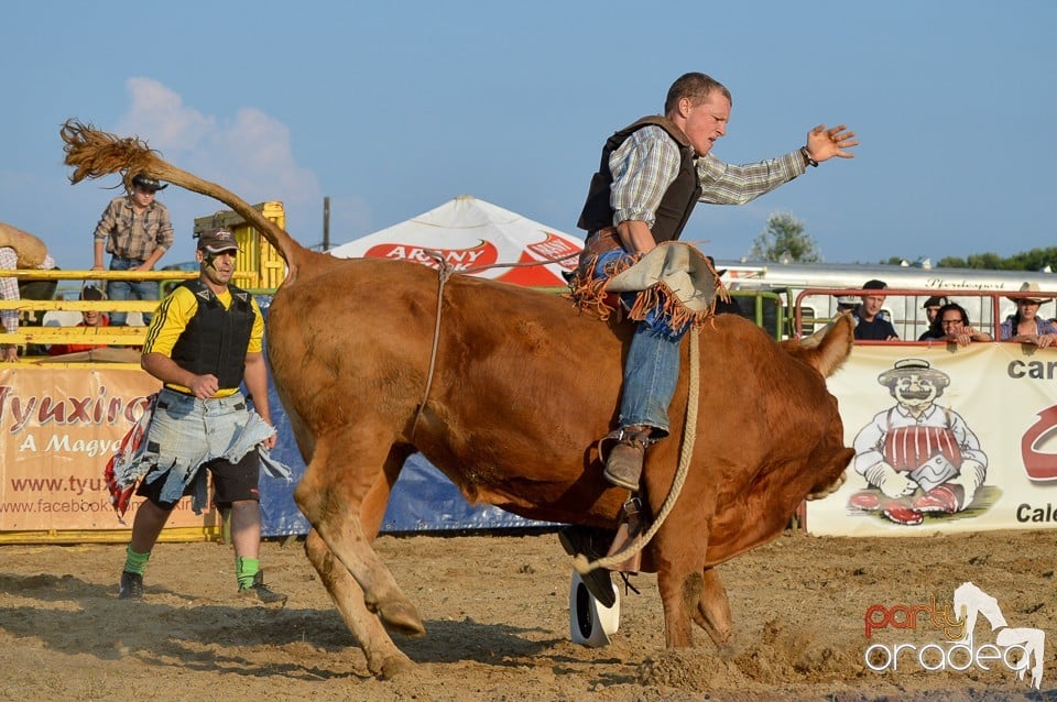 Campionat European de Rodeo, Băile Felix