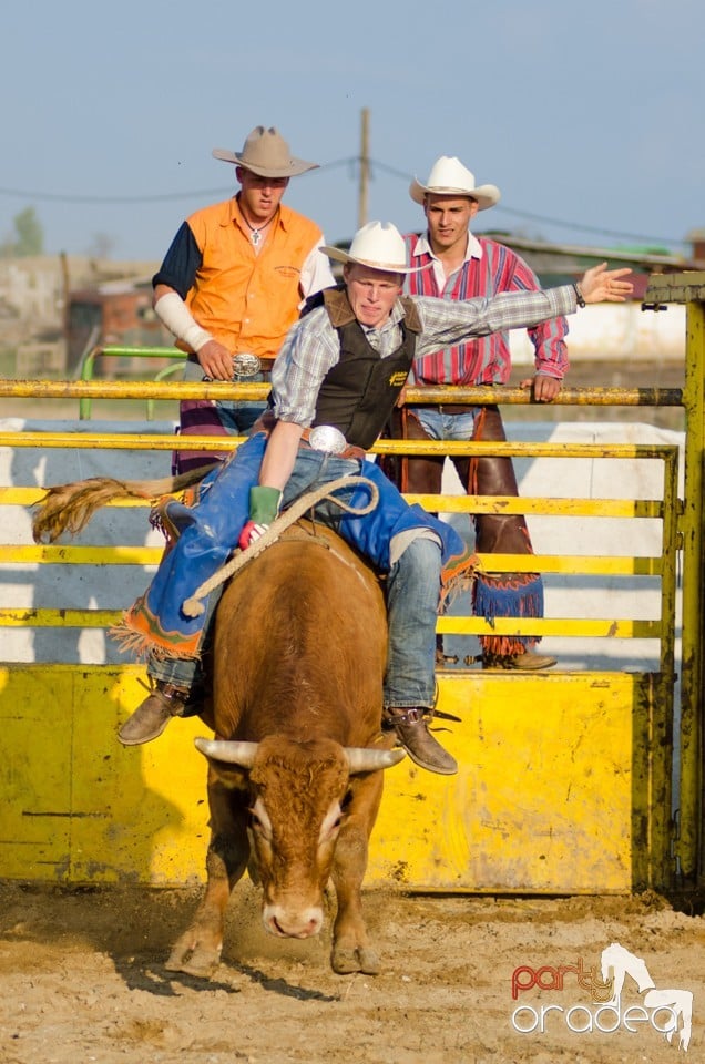 Campionat European de Rodeo, Băile Felix