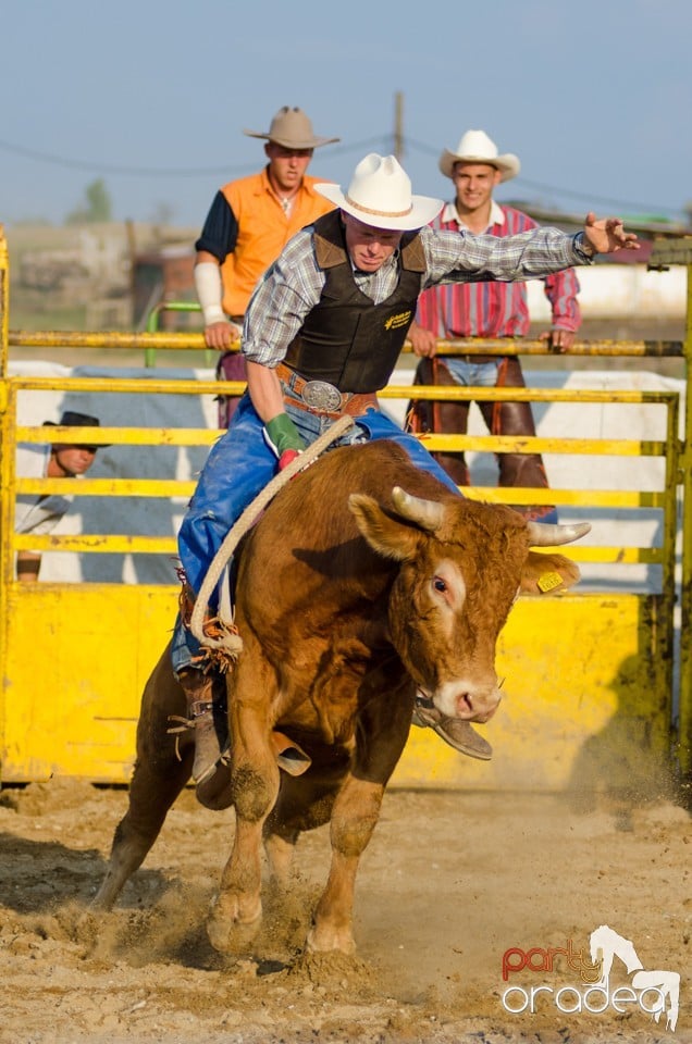 Campionat European de Rodeo, Băile Felix