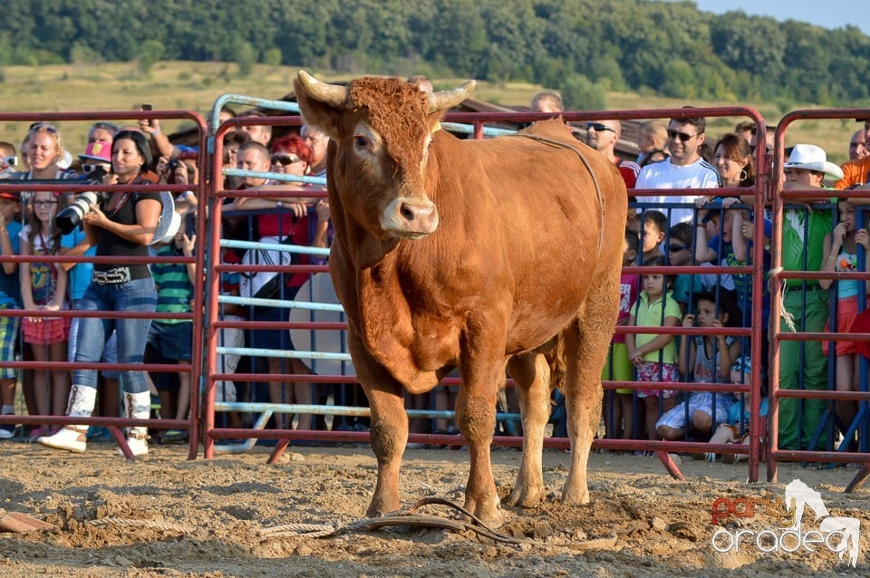 Campionat European de Rodeo, Băile Felix