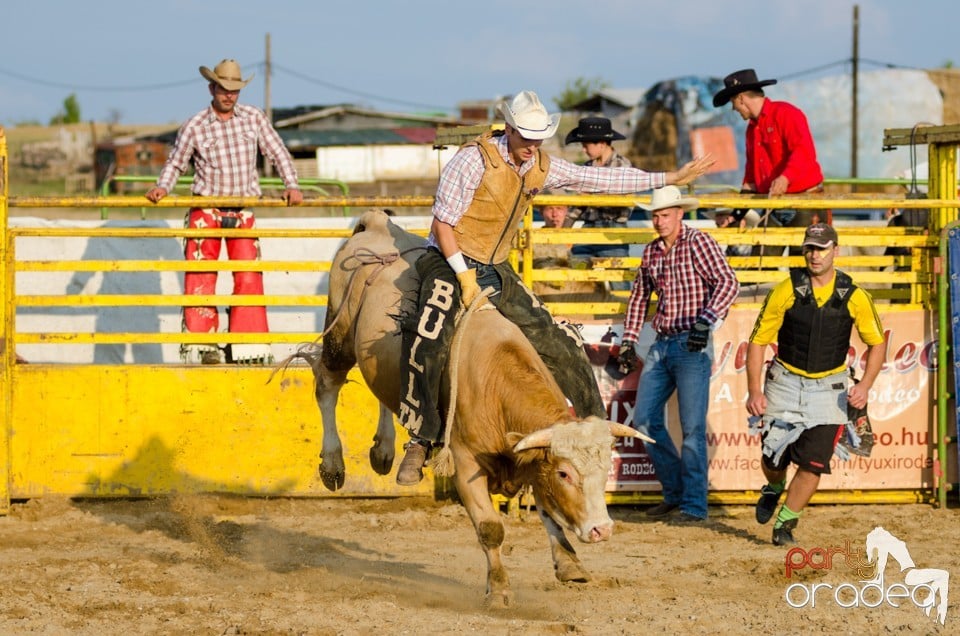 Campionat European de Rodeo, Băile Felix