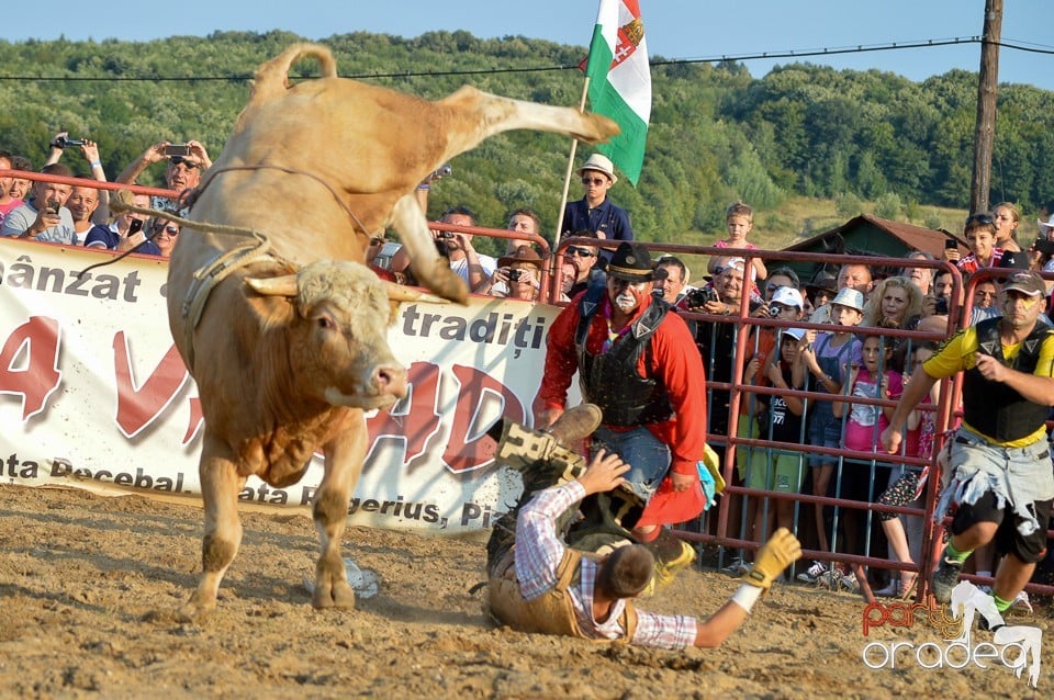 Campionat European de Rodeo, Băile Felix