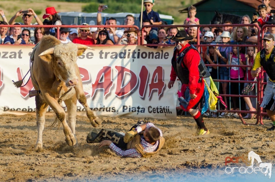 Campionat European de Rodeo, Băile Felix