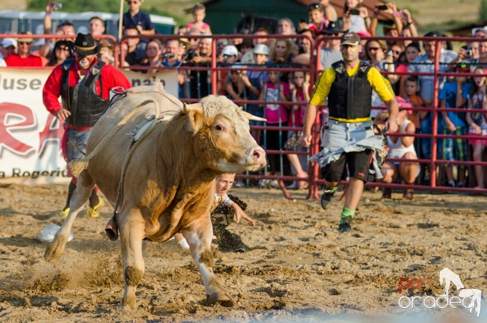 Campionat European de Rodeo, Băile Felix