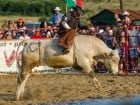 Campionat European de Rodeo