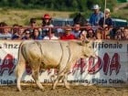 Campionat European de Rodeo