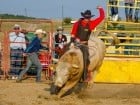 Campionat European de Rodeo