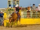 Campionat European de Rodeo