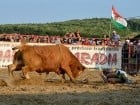 Campionat European de Rodeo