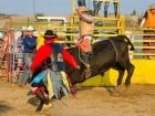 Campionat European de Rodeo