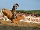 Campionat European de Rodeo