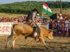 Campionat European de Rodeo