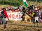 Campionat European de Rodeo