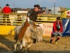 Campionat European de Rodeo