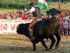 Campionat European de Rodeo