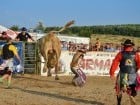 Campionat European de Rodeo