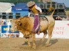 Campionat European de Rodeo