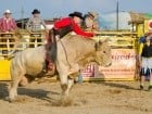 Campionat European de Rodeo