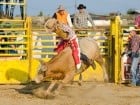 Campionat European de Rodeo