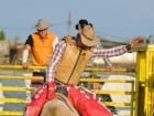 Campionat European de Rodeo