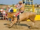 Campionat European de Rodeo