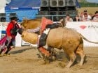 Campionat European de Rodeo