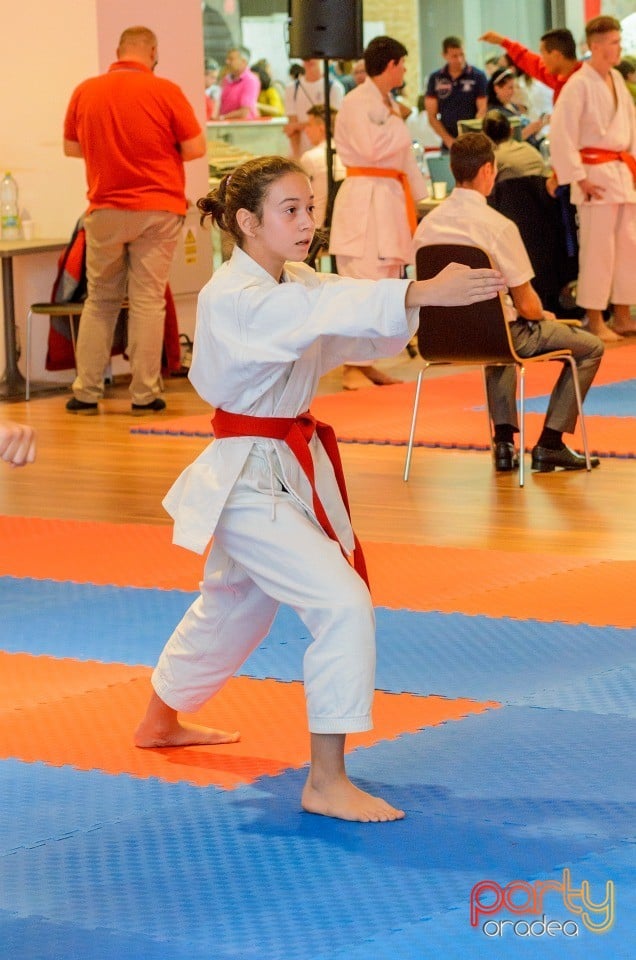 Campionat Internaţional de Karate, 