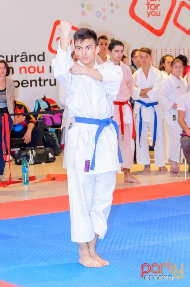 Campionat Internaţional de Karate, 