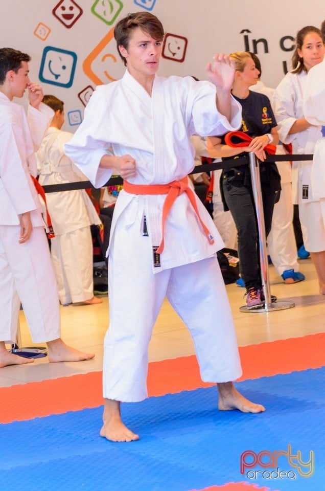 Campionat Internaţional de Karate, 