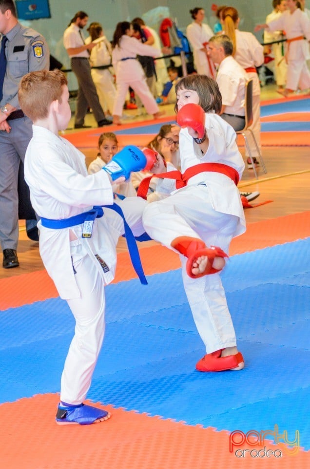 Campionat Internaţional de Karate,