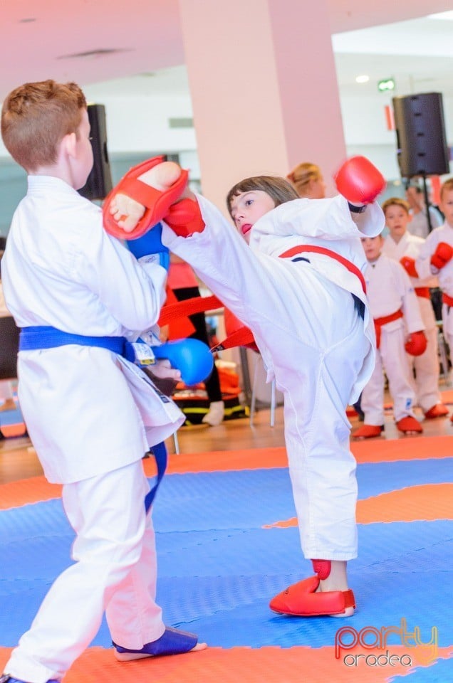 Campionat Internaţional de Karate, 