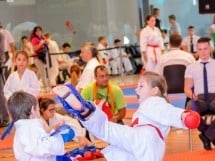 Campionat Internaţional de Karate