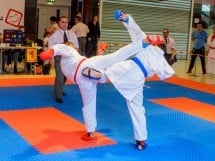 Campionat Internaţional de Karate