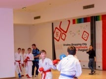 Campionat Internaţional de Karate