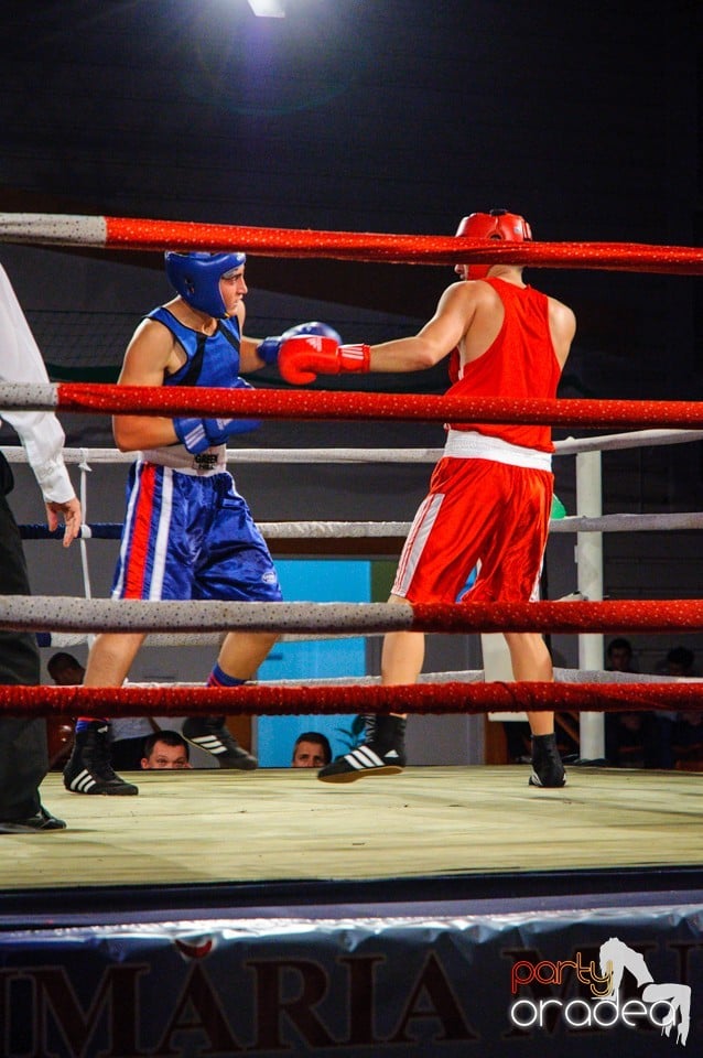 Campionat National de Box Tineret, Oradea