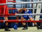 Campionat National de Box Tineret