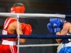 Campionat National de Box Tineret