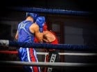 Campionat National de Box Tineret