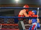 Campionat National de Box Tineret