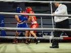 Campionat National de Box Tineret