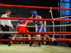 Campionat National de Box Tineret