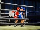 Campionat National de Box Tineret