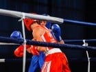 Campionat National de Box Tineret