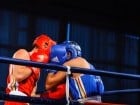 Campionat National de Box Tineret